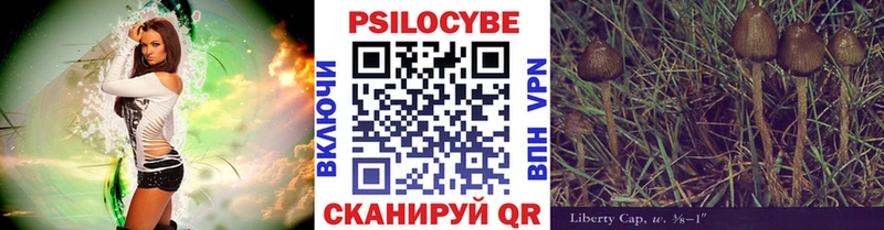 Псилоцибиновые грибы MAGIC MUSHROOMS МЕГА маркетплейс Александровск купить